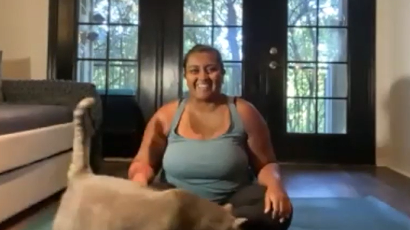 60m Zoom Vault Tracks: Relaxed Flow (Mild)