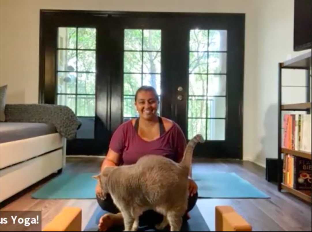 30m Zoom Vault Tracks: Relaxed Flow + Breathwork (Mild)