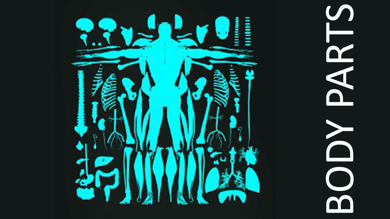 BODY PARTS