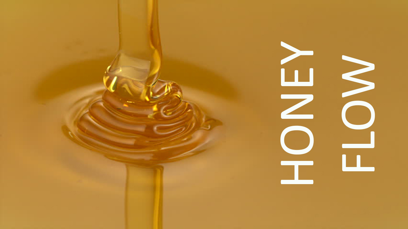HONEY FLOW (Beginner - Intermediate)
