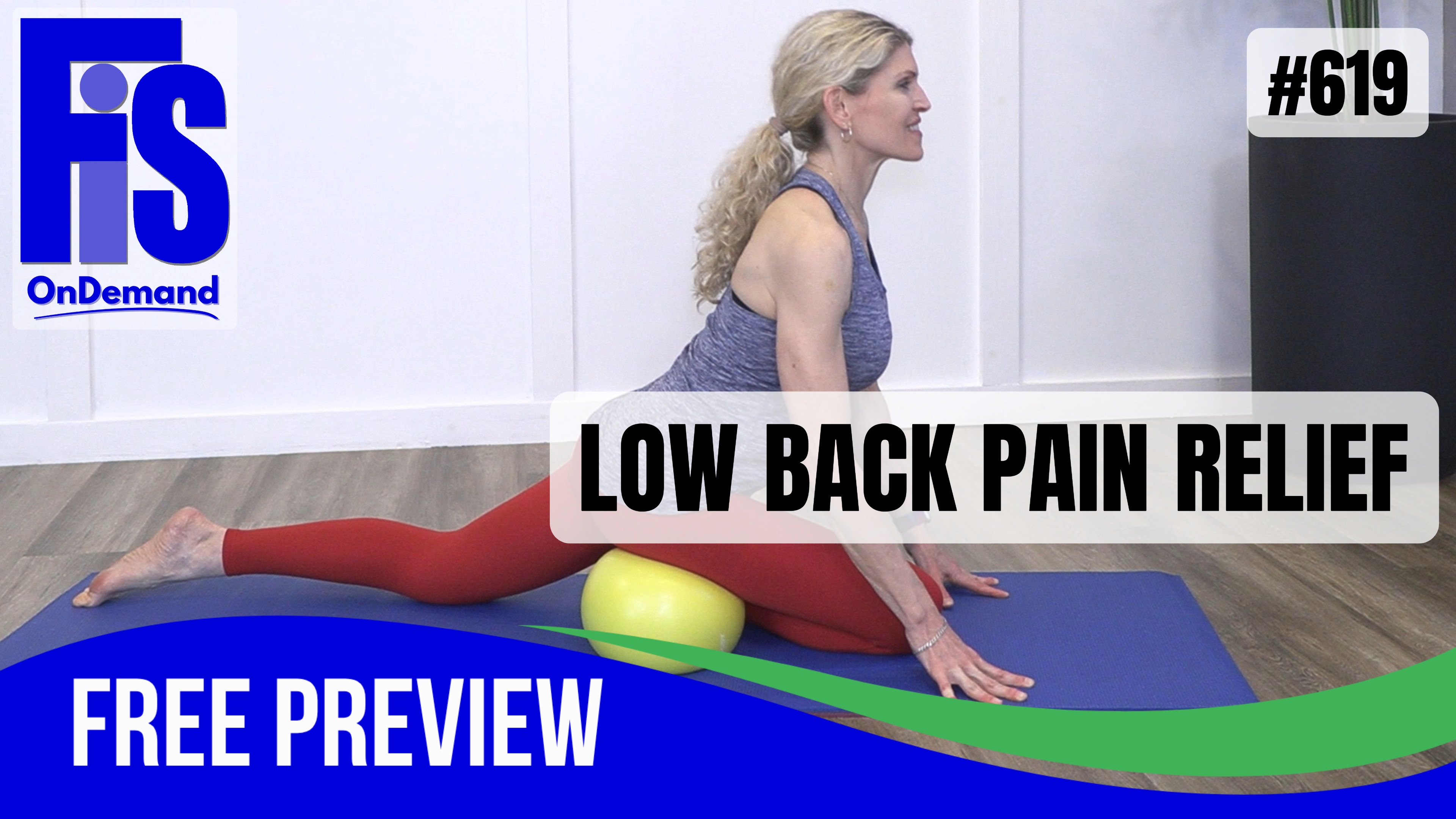 Video 619 | Low Back Pain Relief (15 mins) with Lauren Eirk
