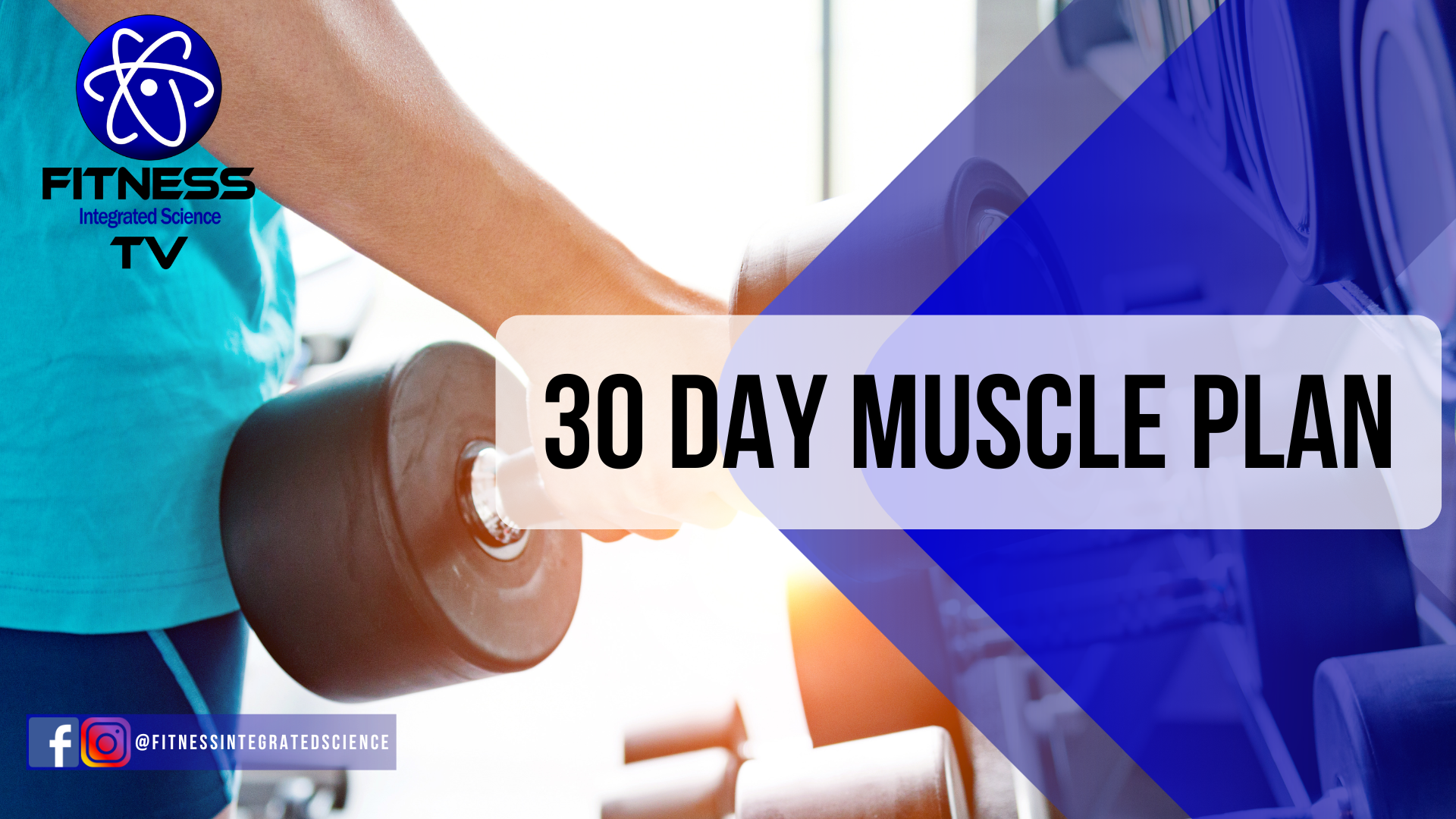 30 Day Muscle Plan