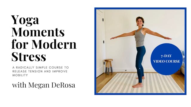About the Yoga Moments for Modern Stress Course