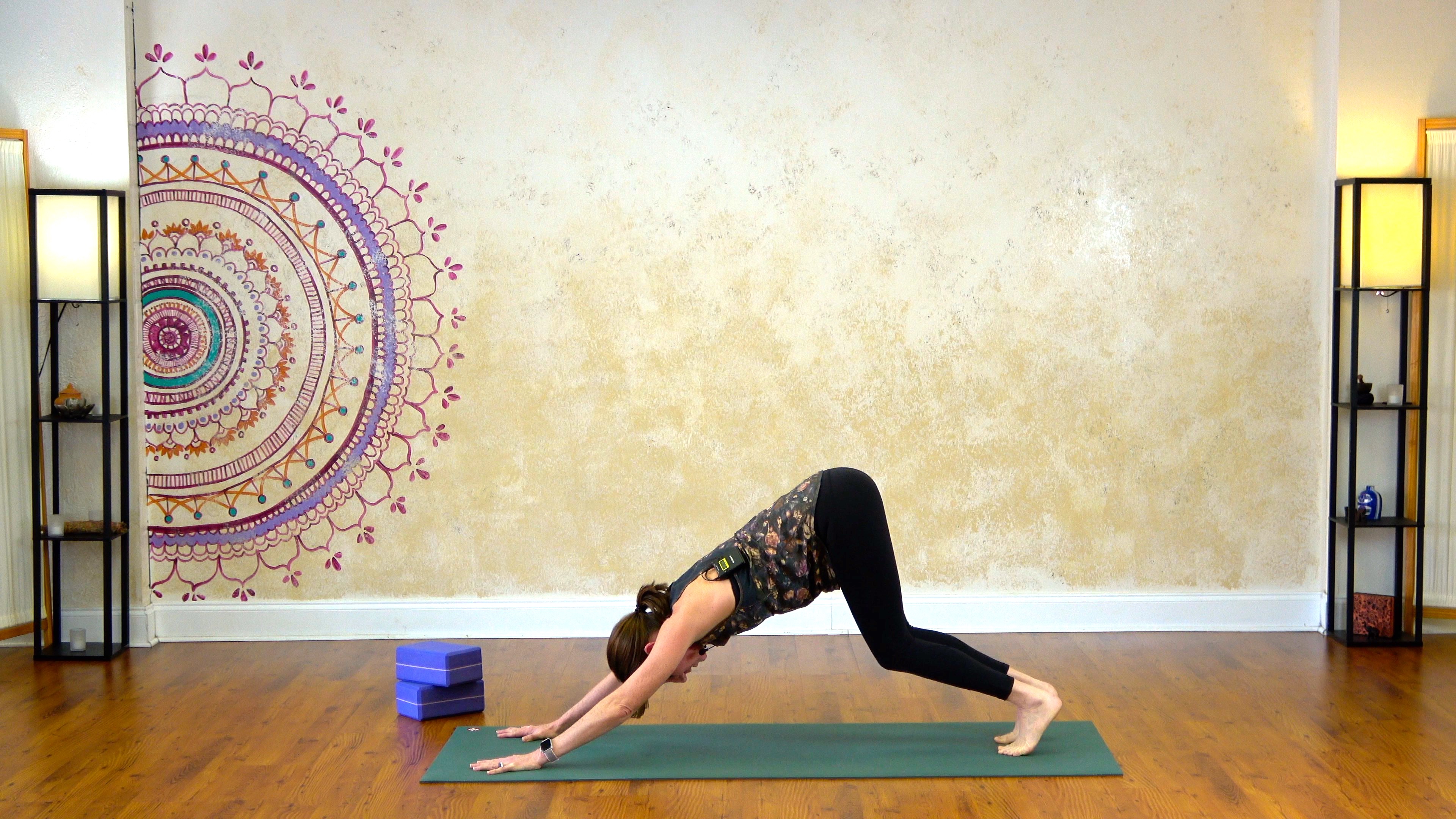 Dogs, Planks, and Lunges - 20 Minutes