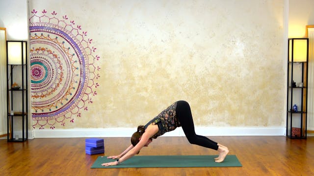 Dogs, Planks, and Lunges - 20 Minutes