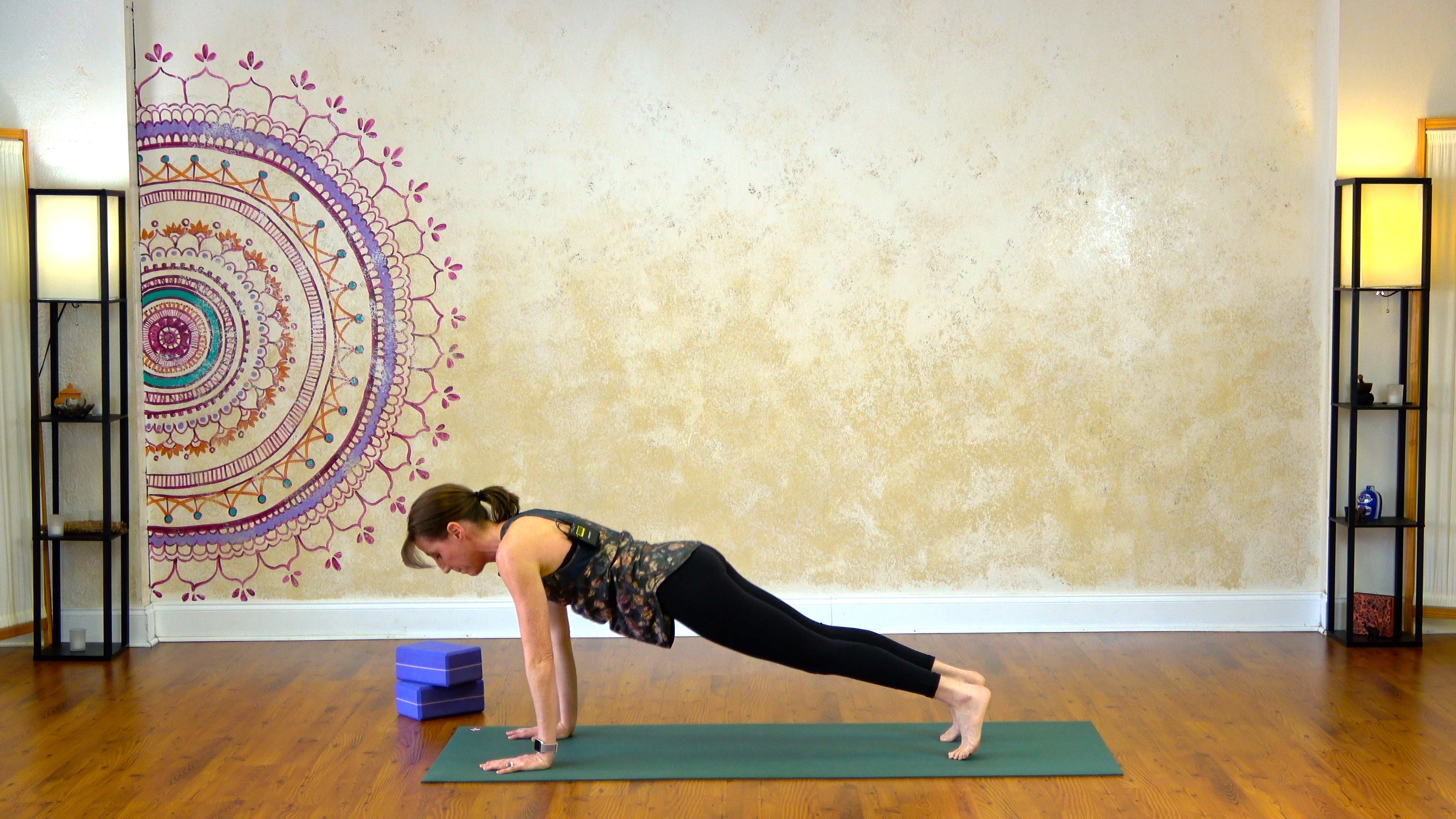 Strengthening Flow with Planks and Dog  - 17 Minutes