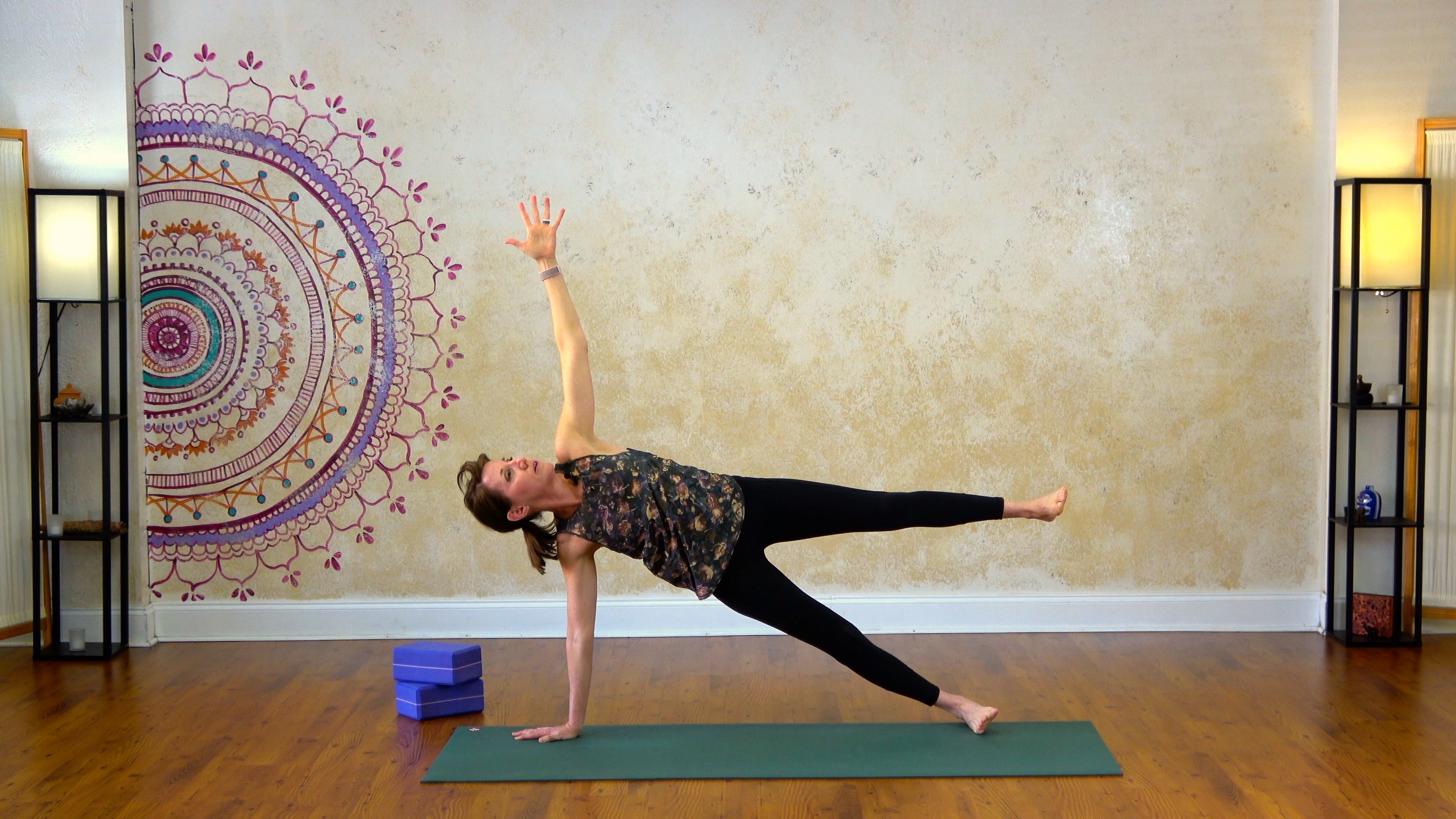 Standing Flow with Dogs, Warrior 3, and Planks - 27 Minutes