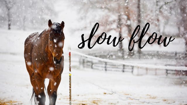 Shoulder Flow with Kelly - 25 minutes