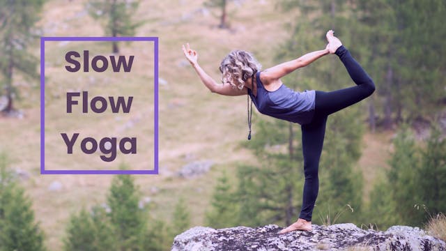 Slow Flow Yoga #554 - Stretchy Practice