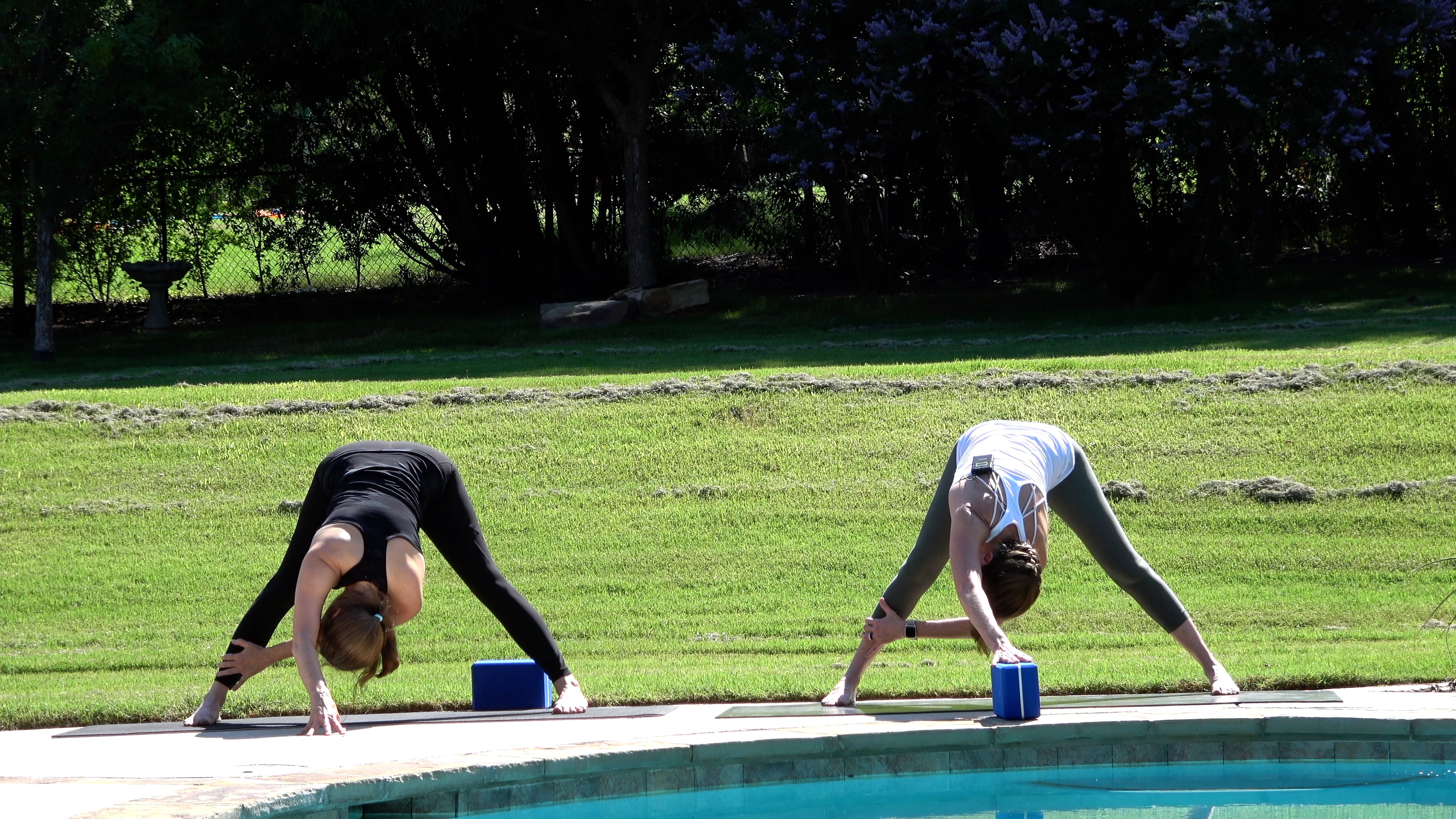 Flow with Side Plank, Dog, and Half Moon - Part 2