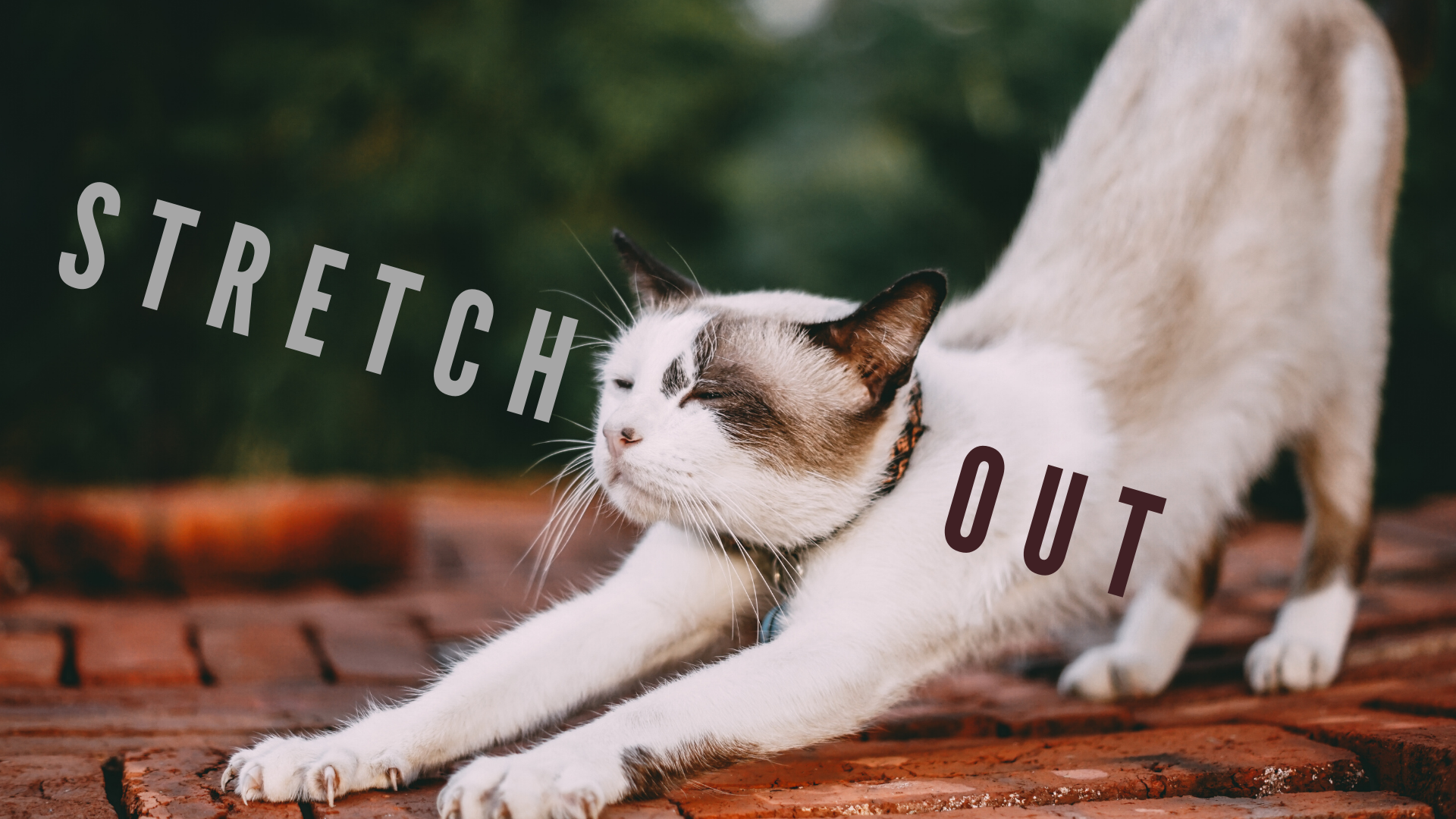 Stretch Out with Becca