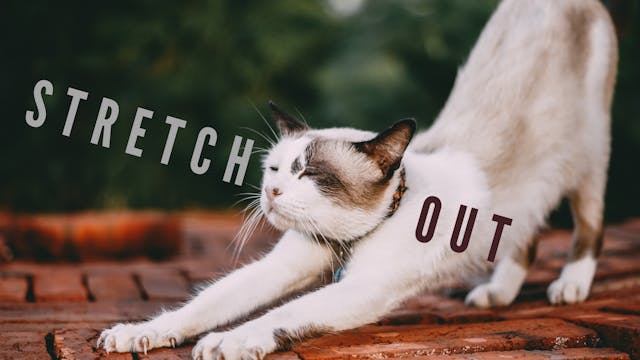 Stretch Out with Becca