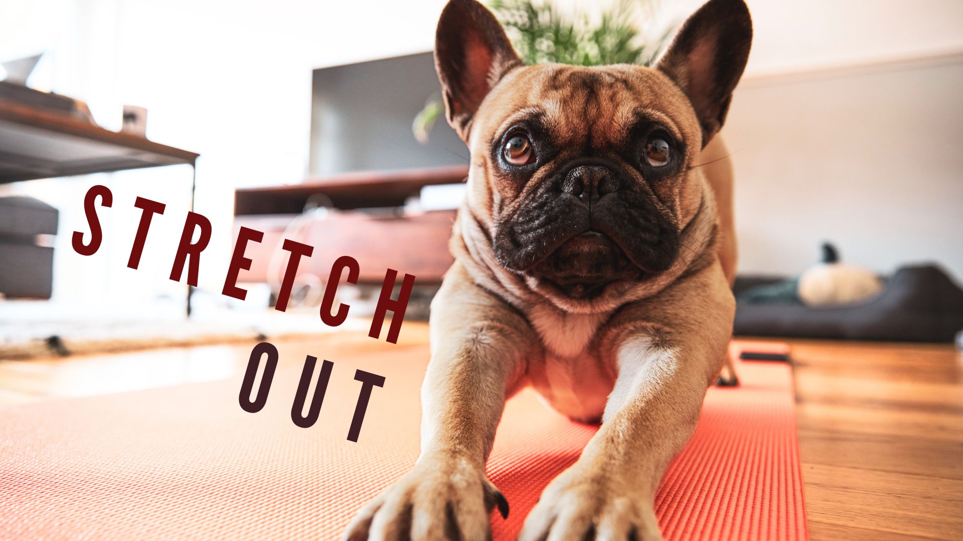 Roll Around on Your Mat with Kelly