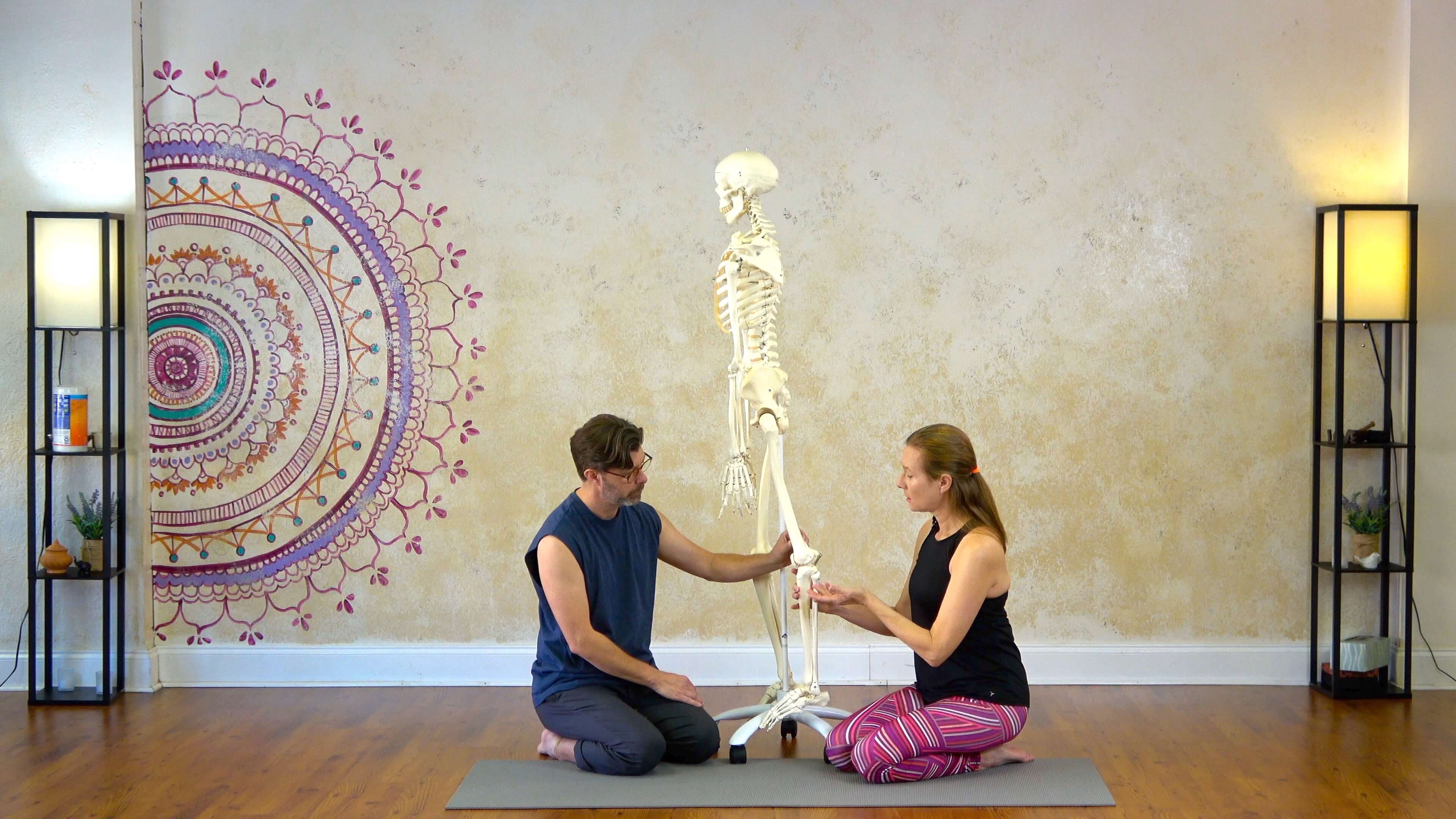 Module 3 - Aligning the Feet and Ankles with the Knees