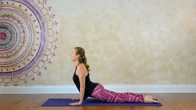 9.2 Teaching Upward Dog