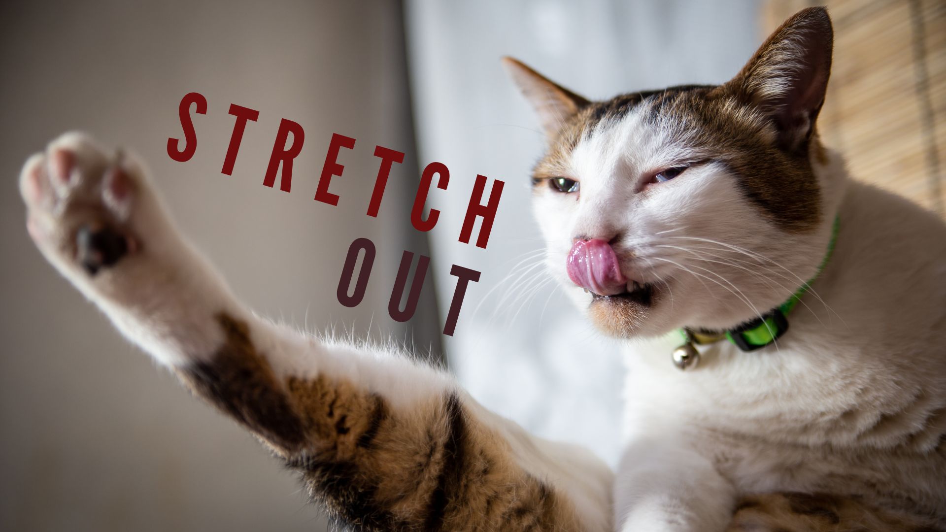 Post Run Foam Roller Work