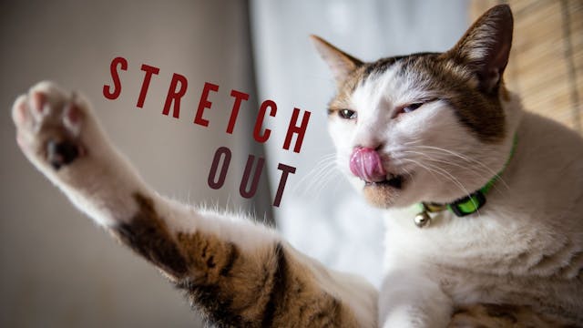 Post Run Foam Roller Work