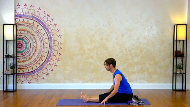 Seated Stretches and Strengthening Fl...