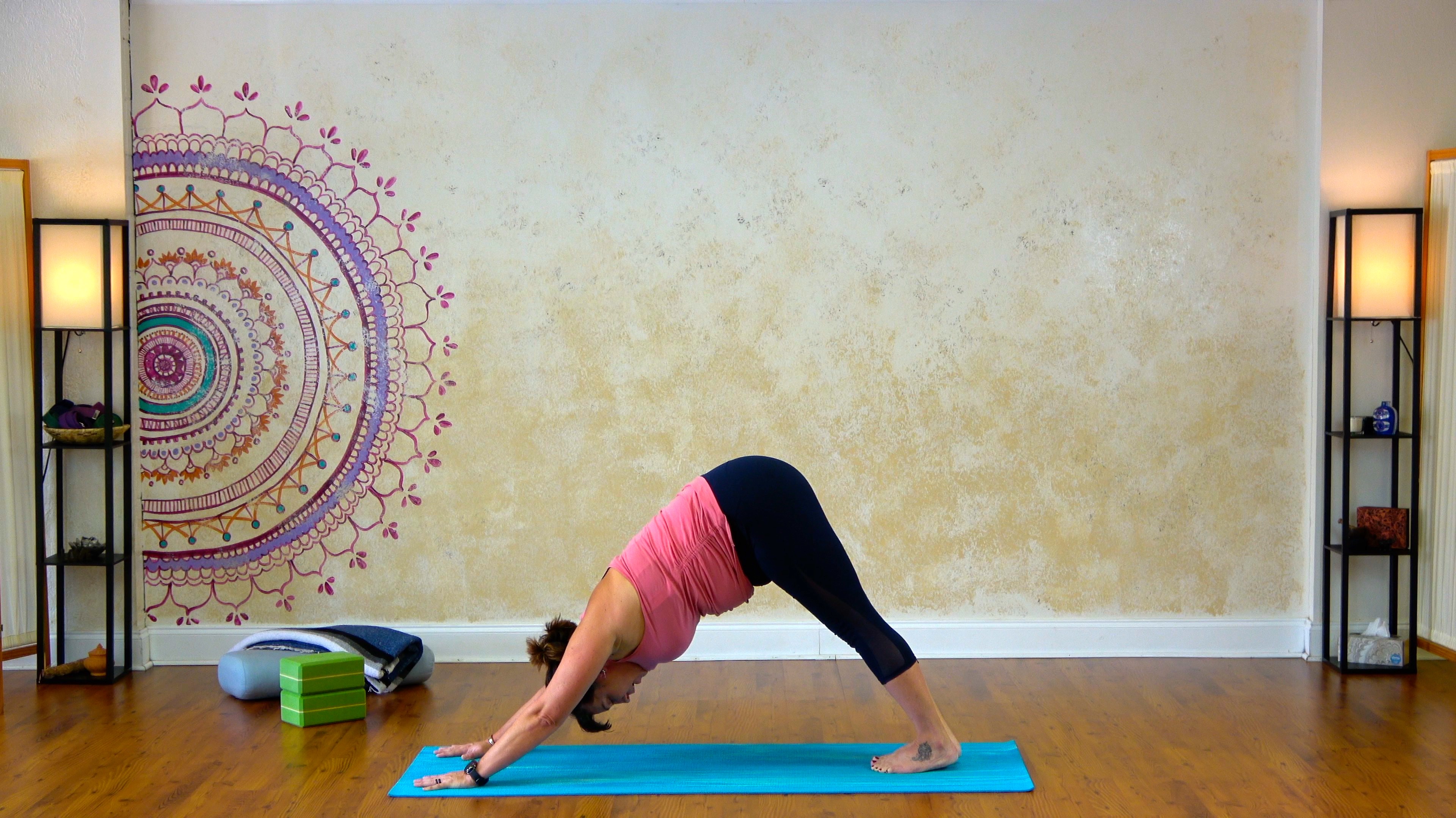 Dogs, Planks, and Core - 19 Minutes