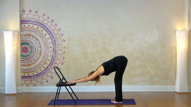 8.7 Modified Sun Salutations