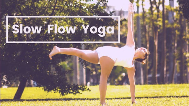 Slow Flow Yoga - Twisted Half Moon #516