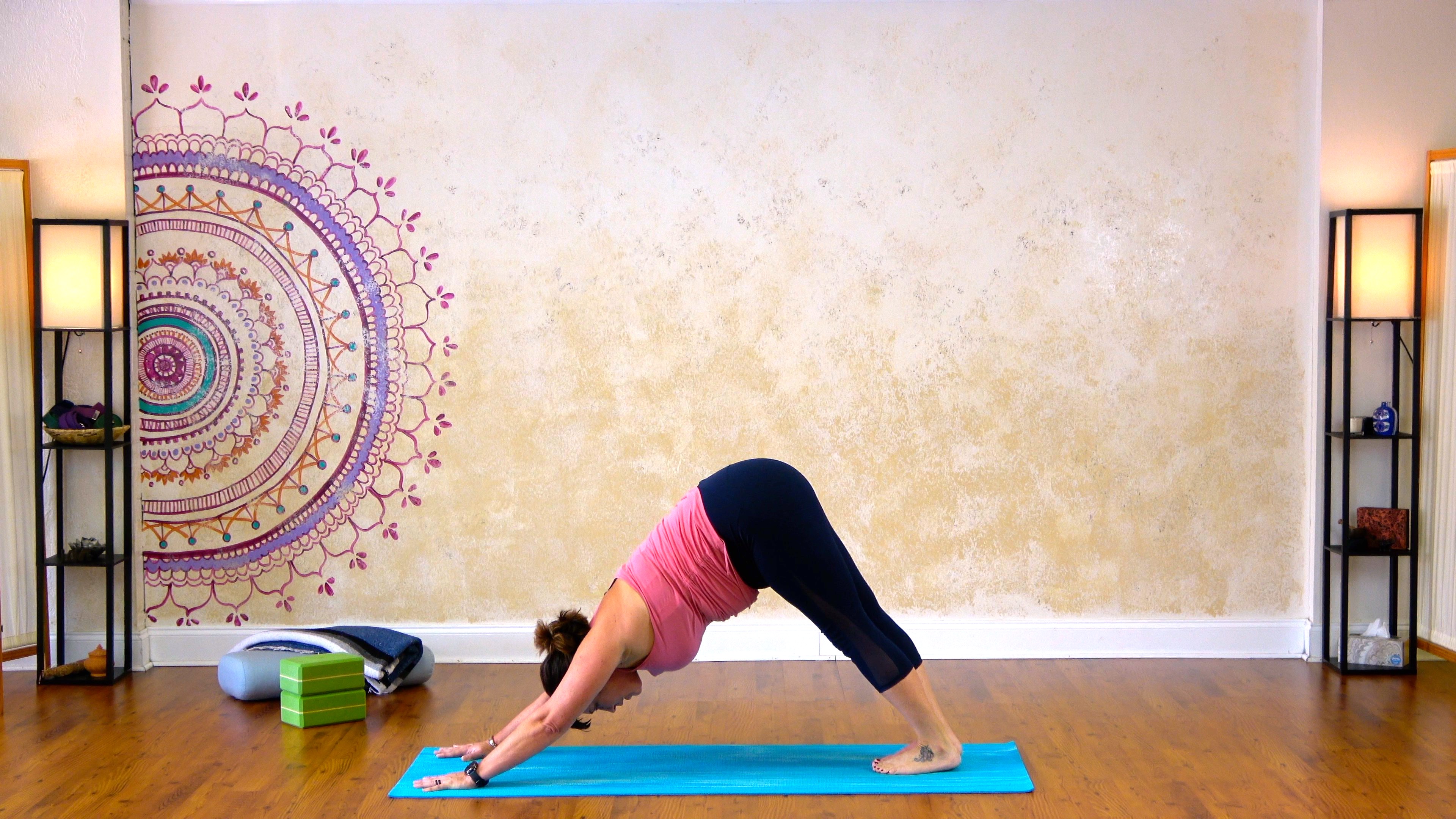 Standing Flow with Dogs and Planks - 22 minutes