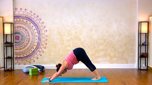 Standing Flow with Dogs and Planks - ...