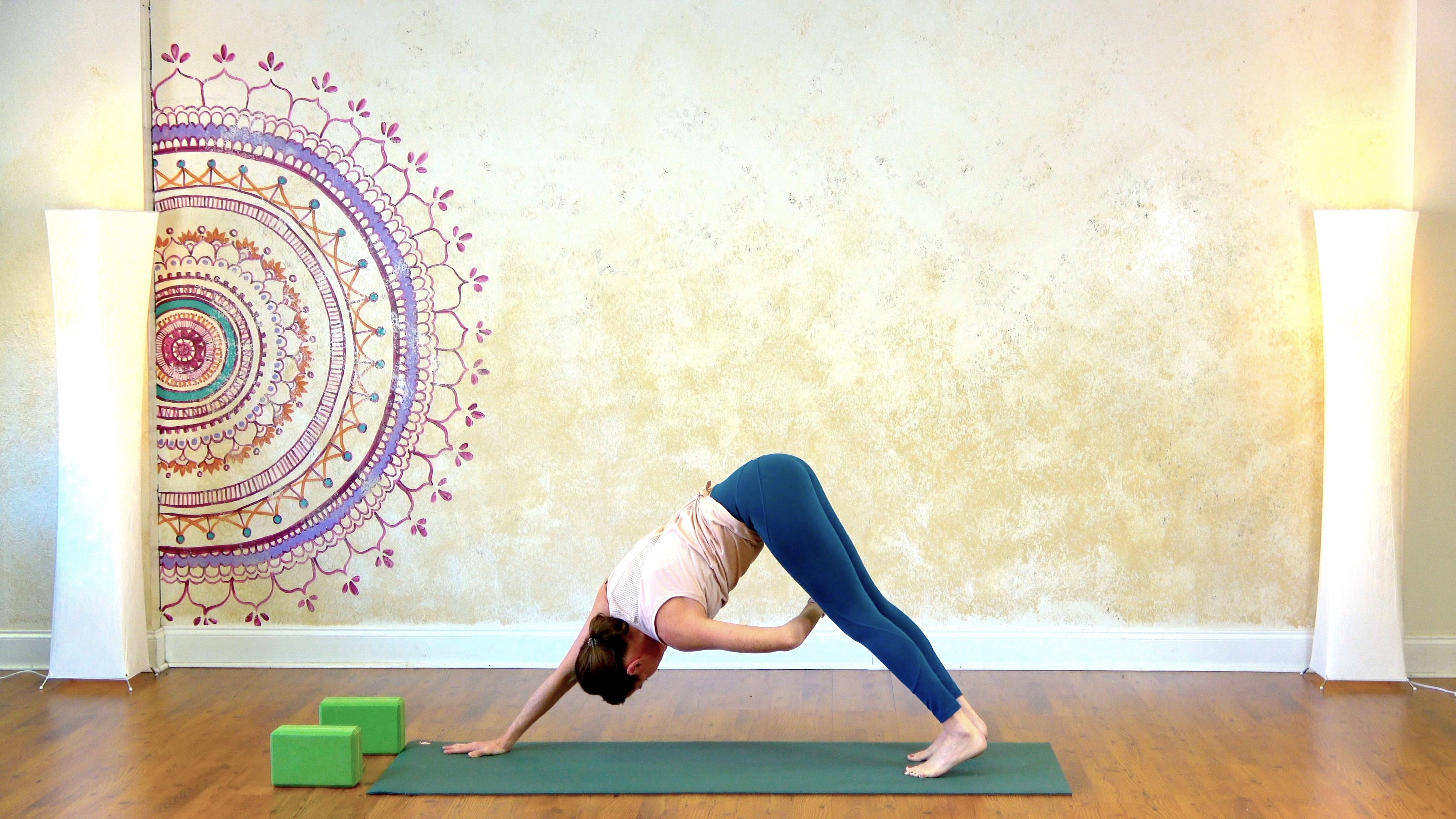 Warm Flow with Kelly