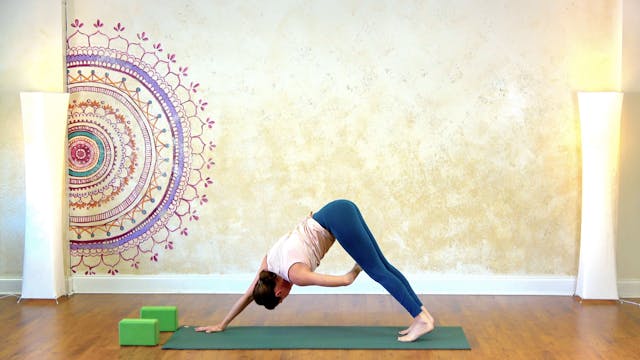 Warm Flow with Kelly