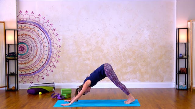 Push-up Progression - 4 minutes