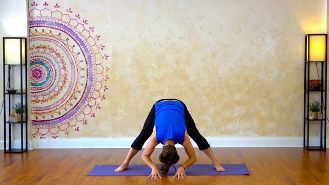 Stretches for Runners and Walkers wit...