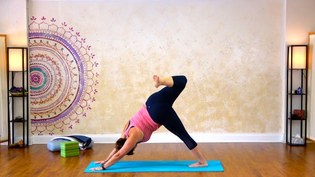 Dogs, Lunges, Planks - 29 minutes