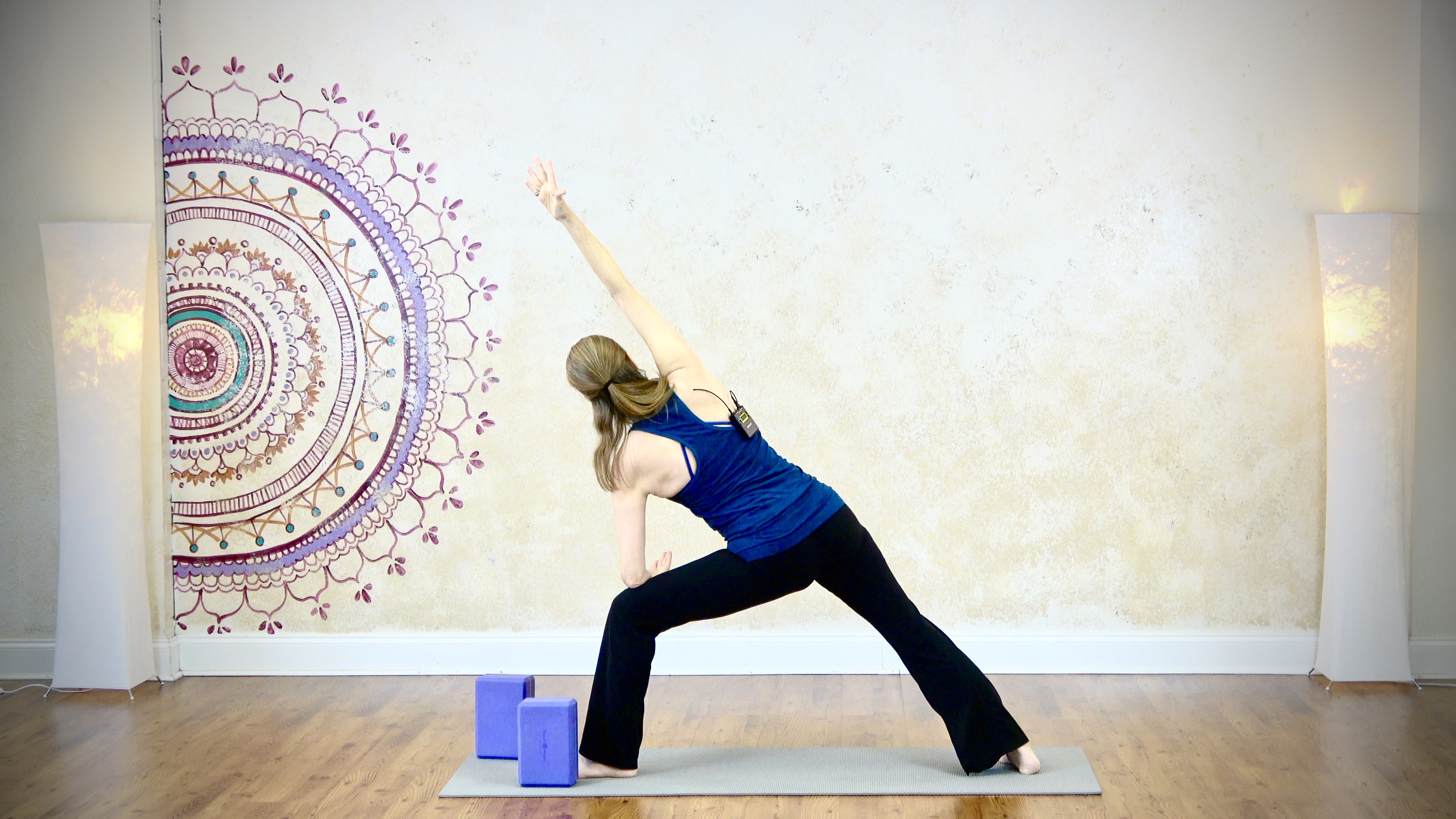 Side Planks and Backbends with Becca - Part 2