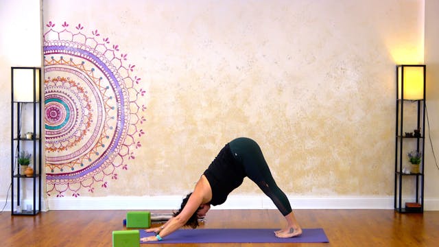 Sun Salutations and Planks - 23 minutes