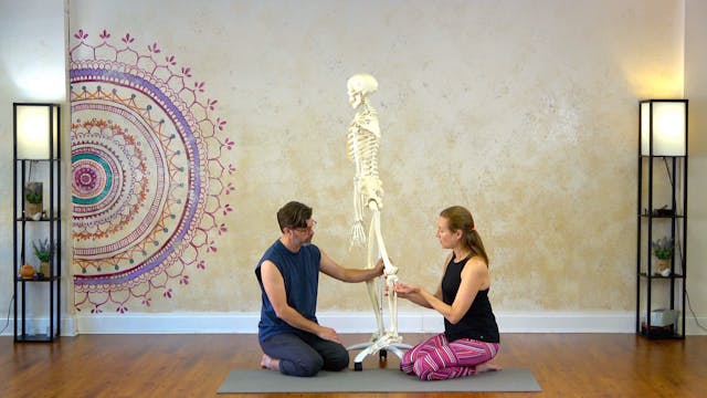 3.3 Is the Knee Really Hyperextended?