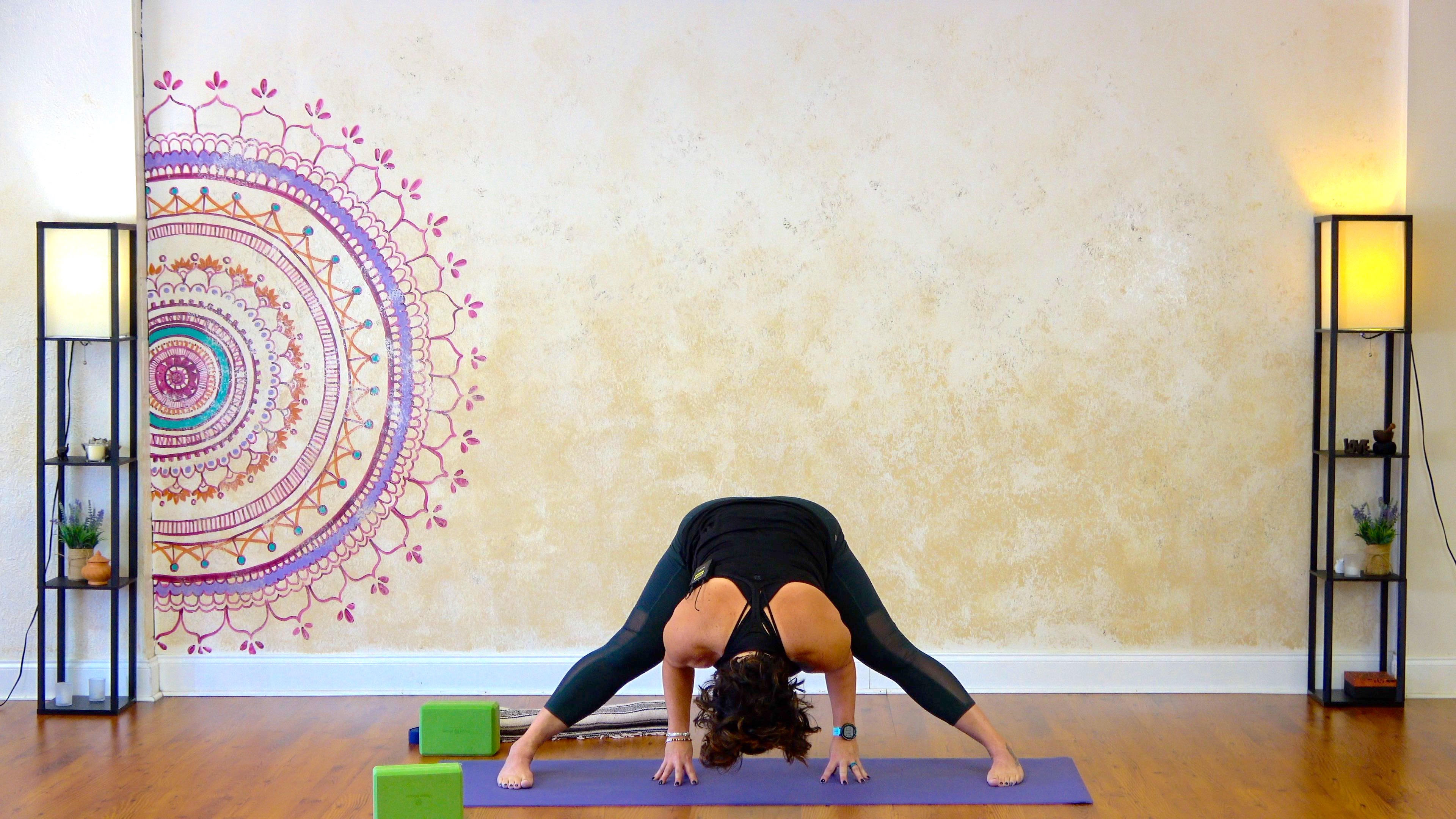 Hip Opening Flow with Kathie