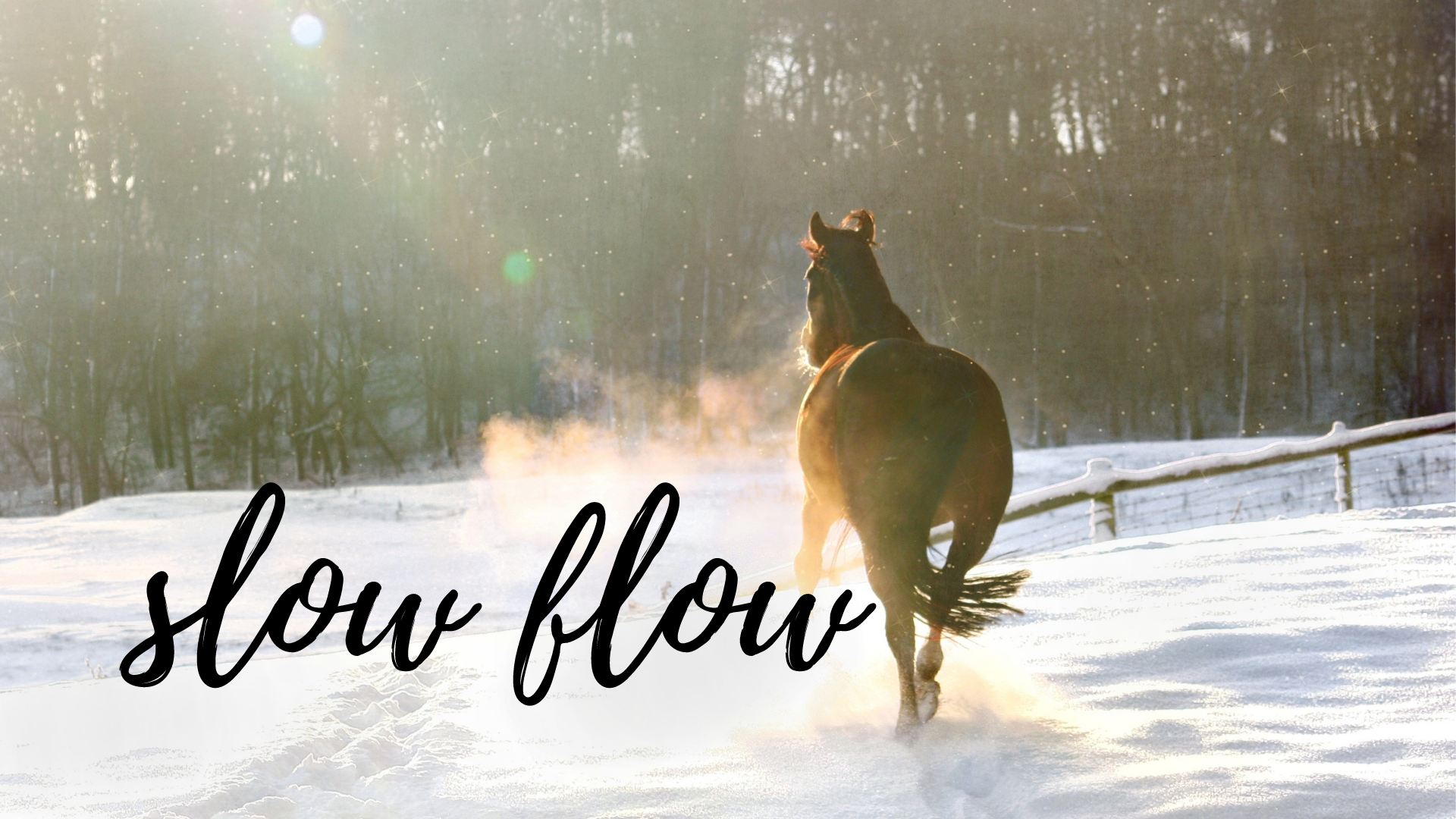 Get Moving with Tim - 30 Minute Class