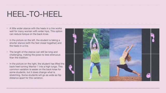 2.3 Accessible Variations in Stances ...