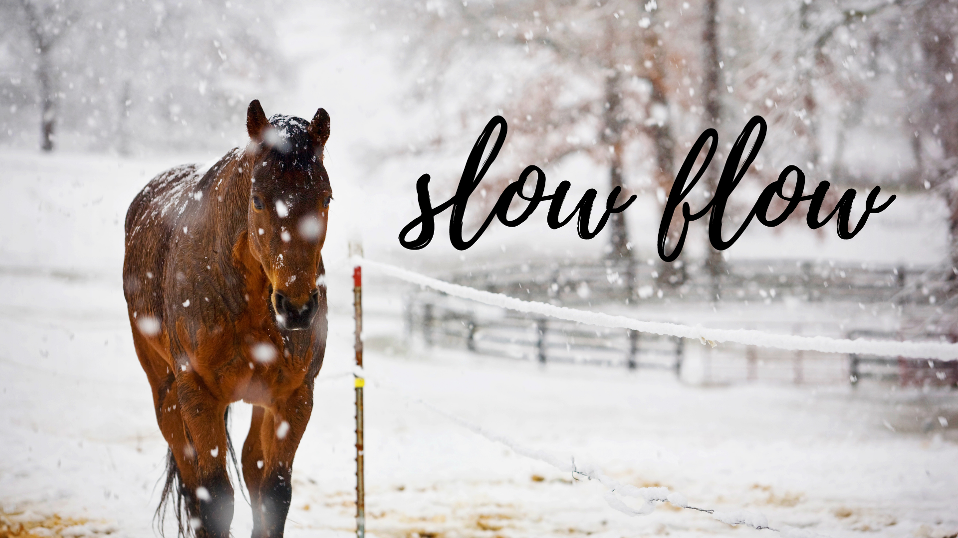 Strong and Stretchy - Complete Class 55 minutes