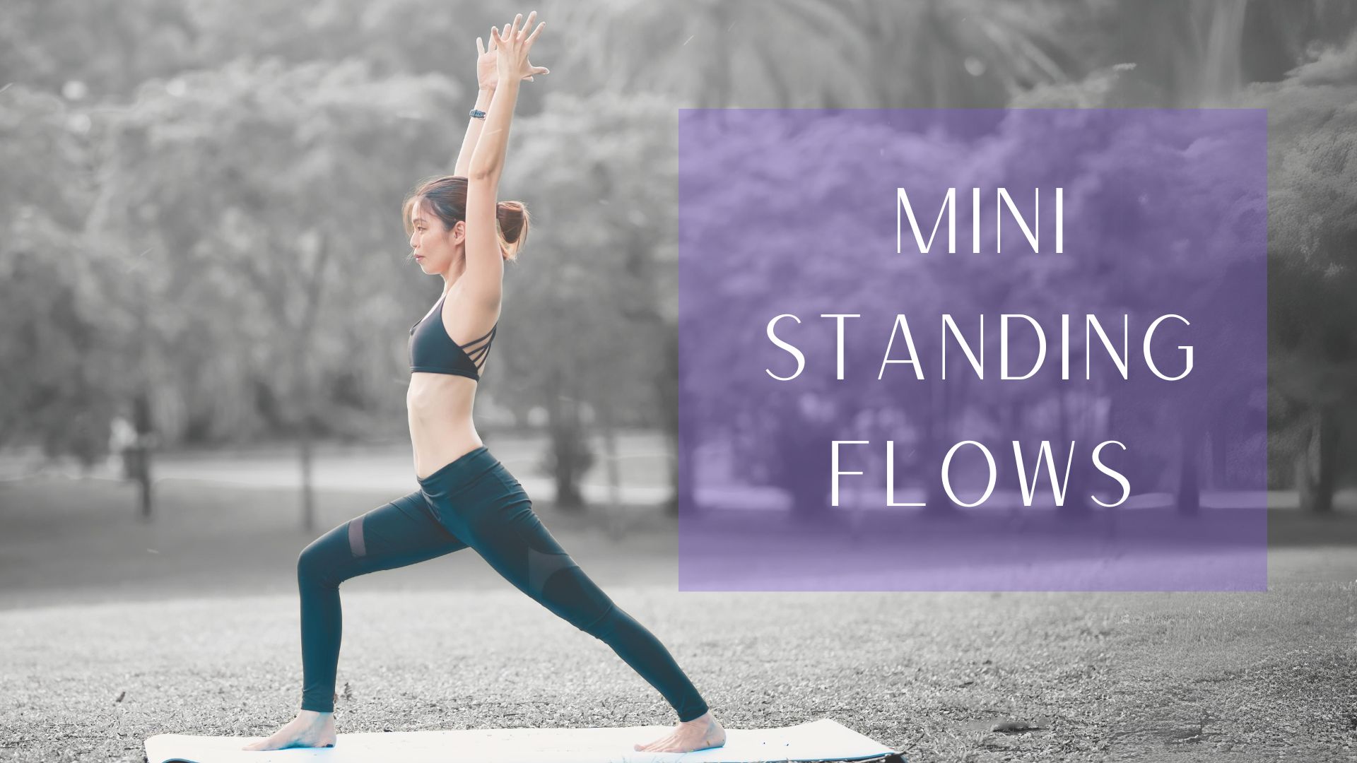 Gentle Standing Flow with the Warriors - 19 minutes