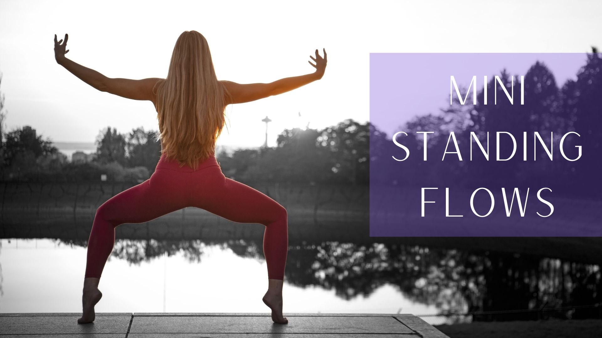 Standing Work with Lunges and Dogs - 18 minutes 