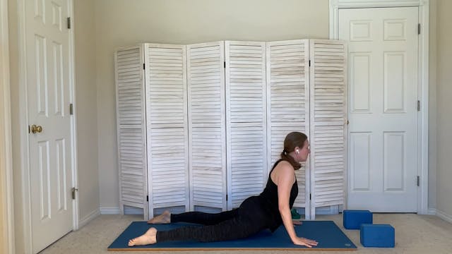 Integrated Core: Flowing Transitions ...