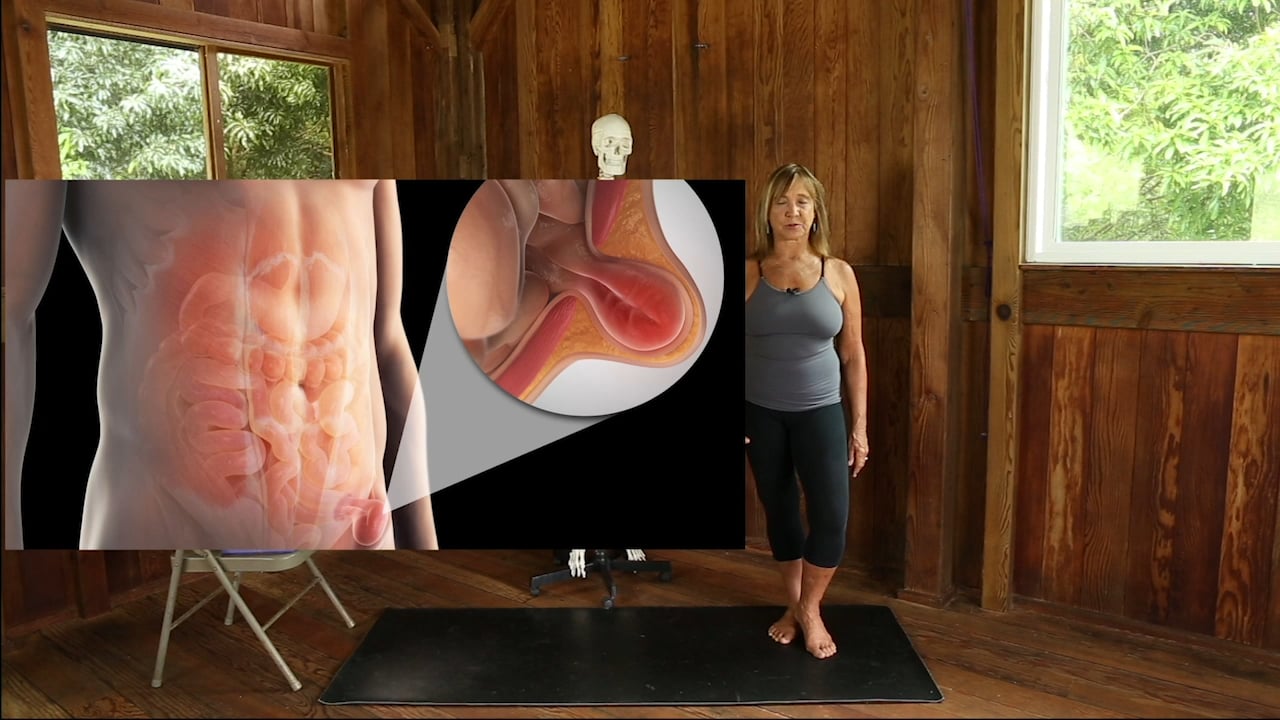 Heal Your Hernia From the Inside Out