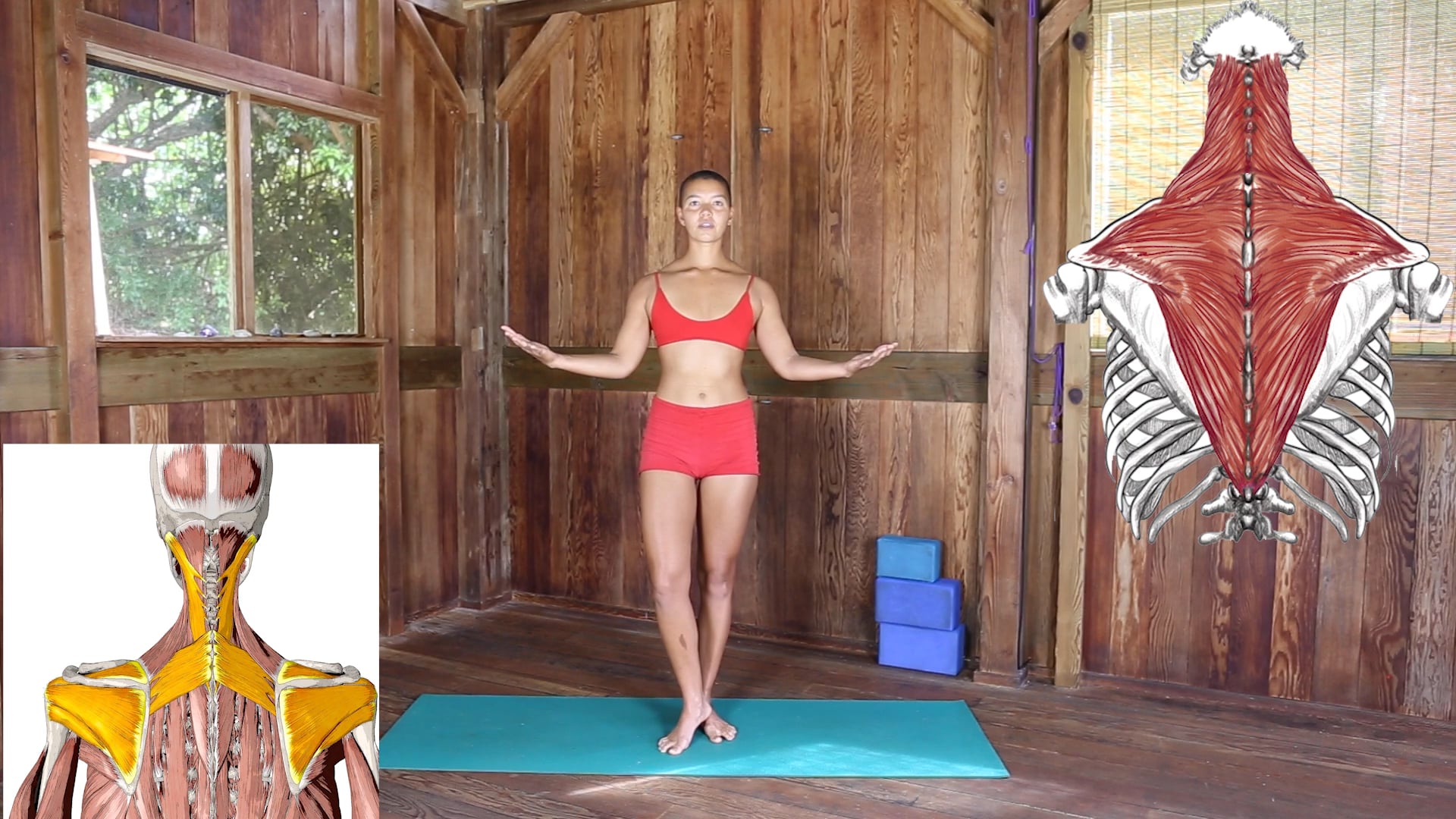 FitAlign Posture Training for Athletes and Active People