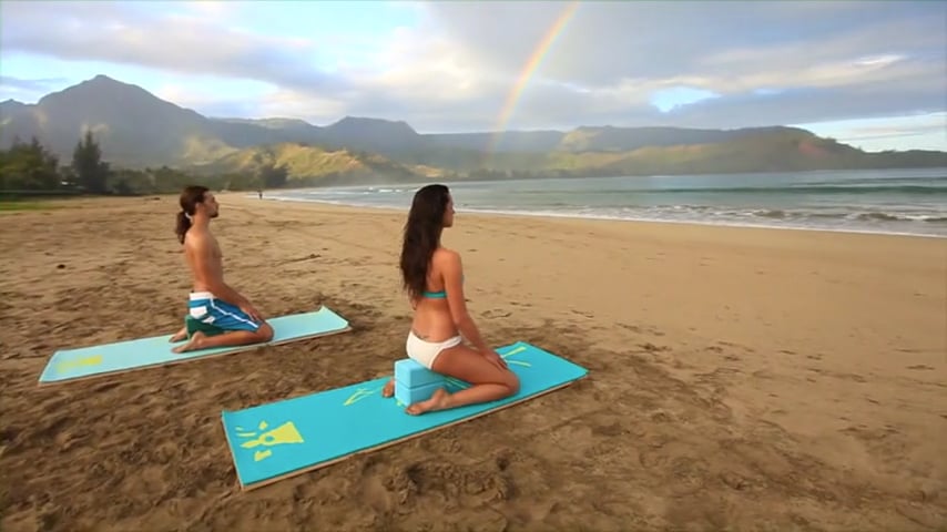 YogAlign Kauai Level 1