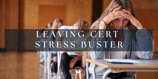 FREE Leaving Cert Stress Release: Use code "LEAVE"