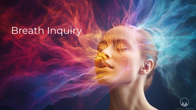 Breath Inquiry