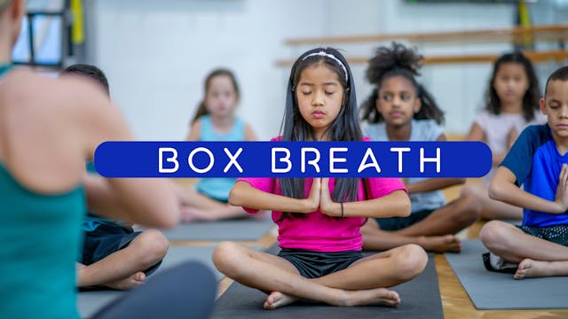 Box Breath
