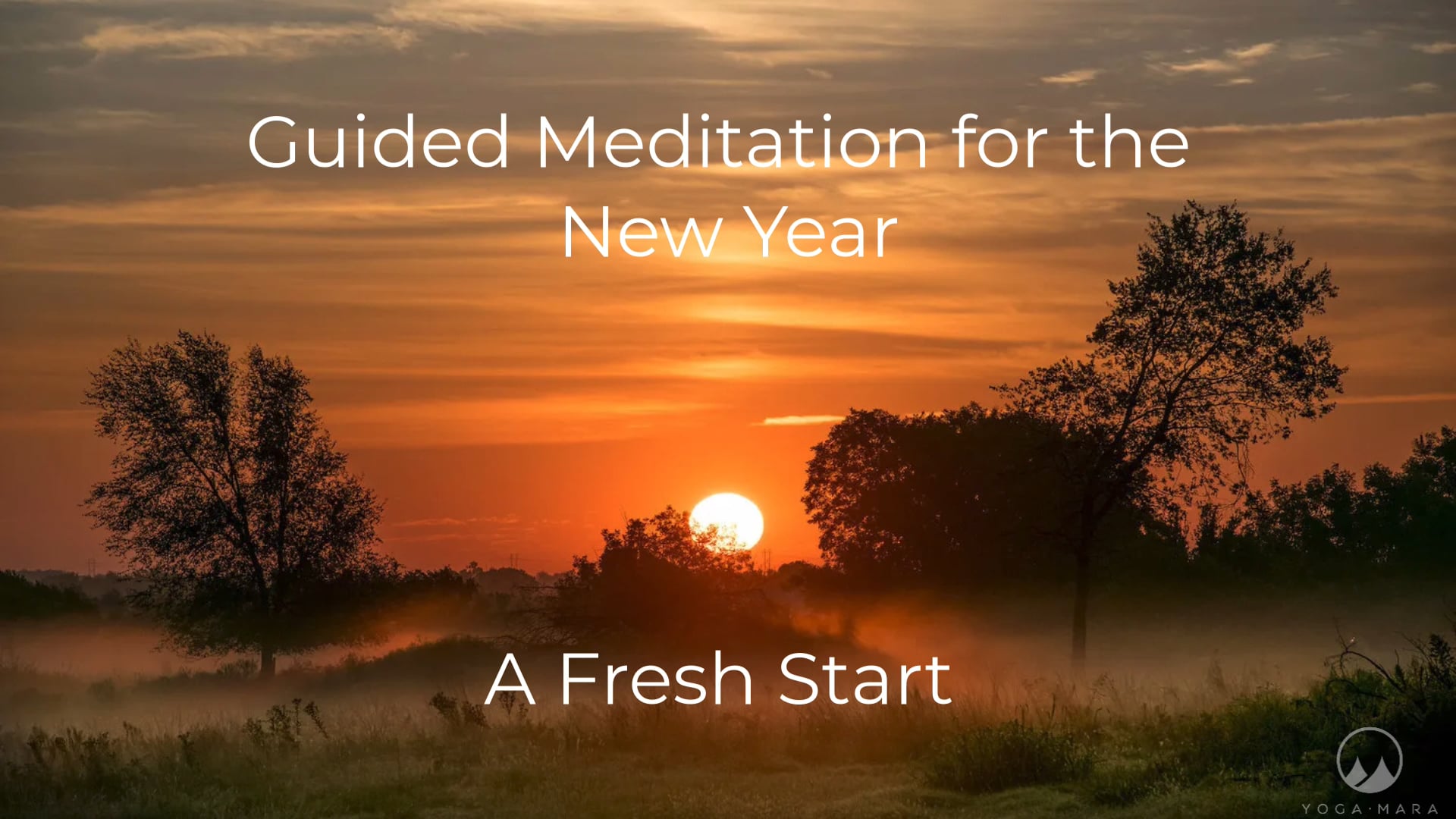 NEW: Meditation for a New Year