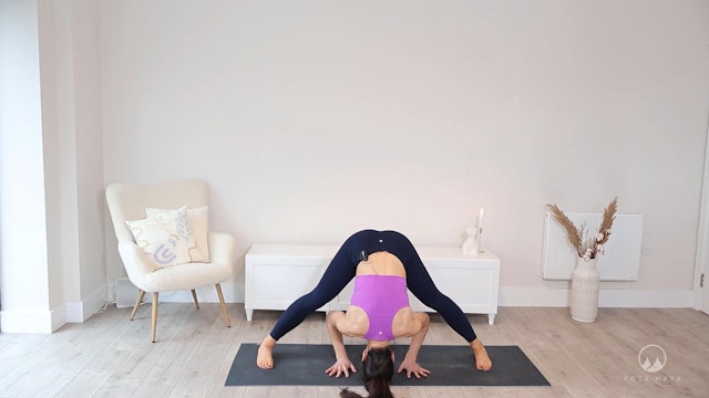 Yoga to Align and Anchor